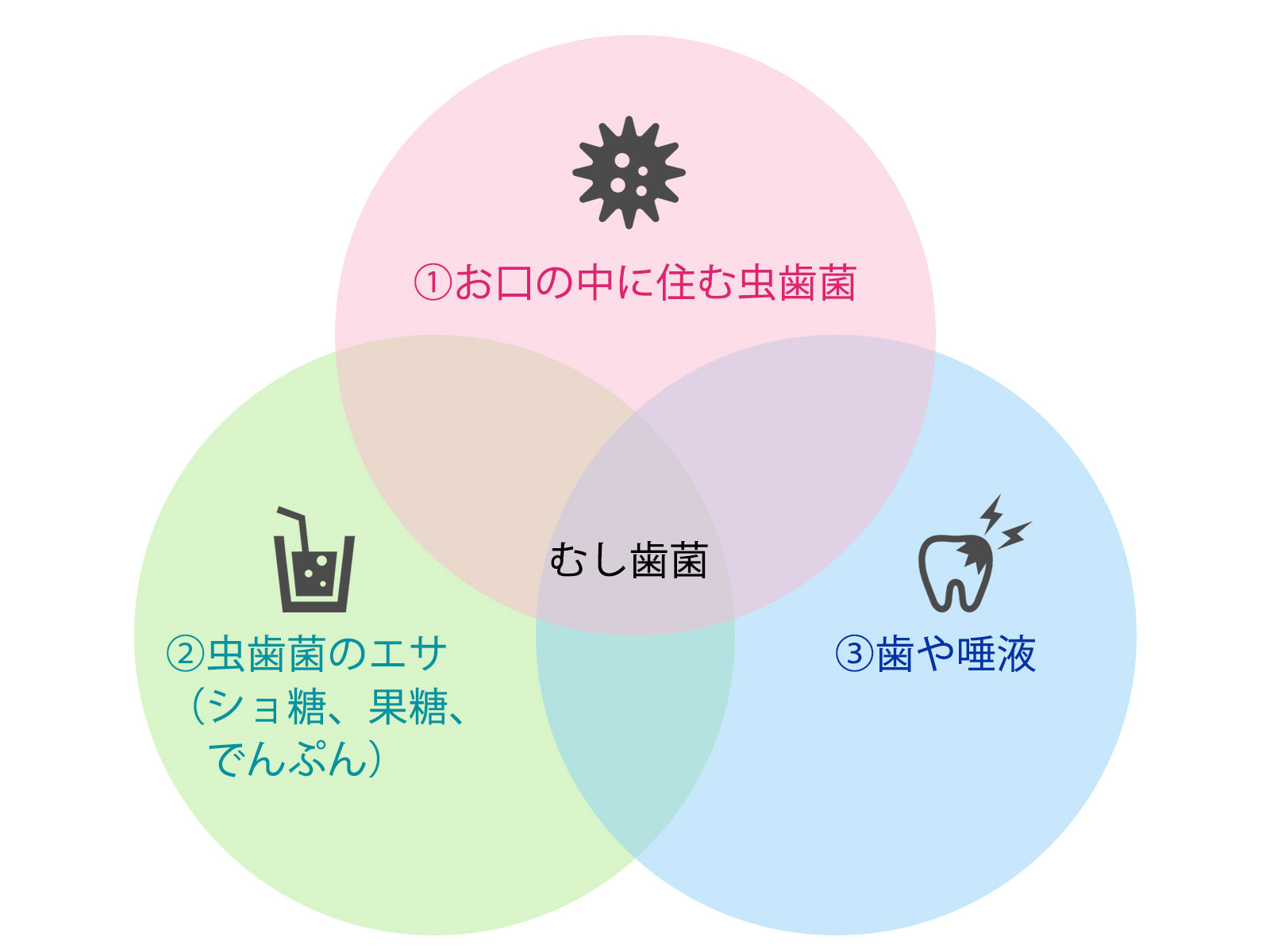 虫歯を作る３つの材料